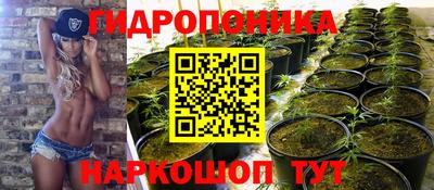 a pvp Кимры