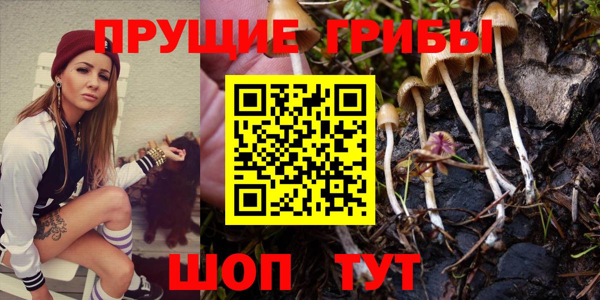 Галлюциногенные грибы Magic Shrooms Родники